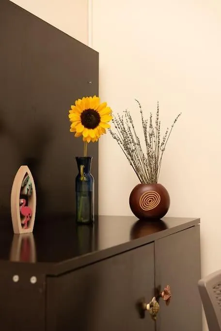 Garsoniera Linistita Zona Vitan بوخارست شقة